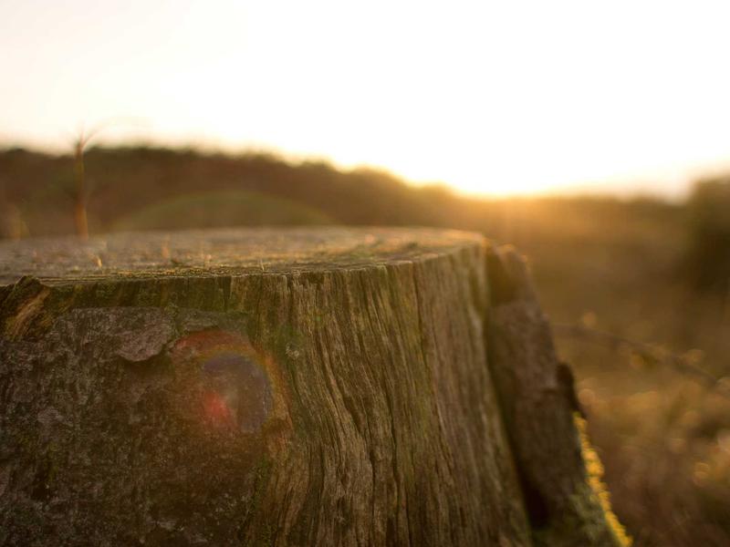 sudoku pattern learning